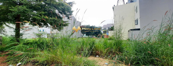 Bán đất tại Phú Hữu, Quận 9. Diện tích 126m2, giá 6,8 tỷ-03