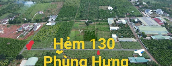 Bán đất 1.59 tỷ Lộc Tiến, Lâm Đồng diện tích cụ thể 232m2-03