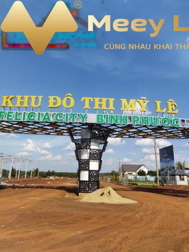 Bán biệt thự diện tích 100m2 thị xã Phước Long, tỉnh Bình Phước, giá 400 triệu-01