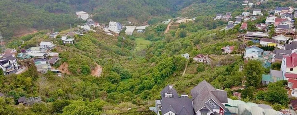 Cần bán đất huyện Di Linh, tỉnh Lâm Đồng giá 17 tỷ-03