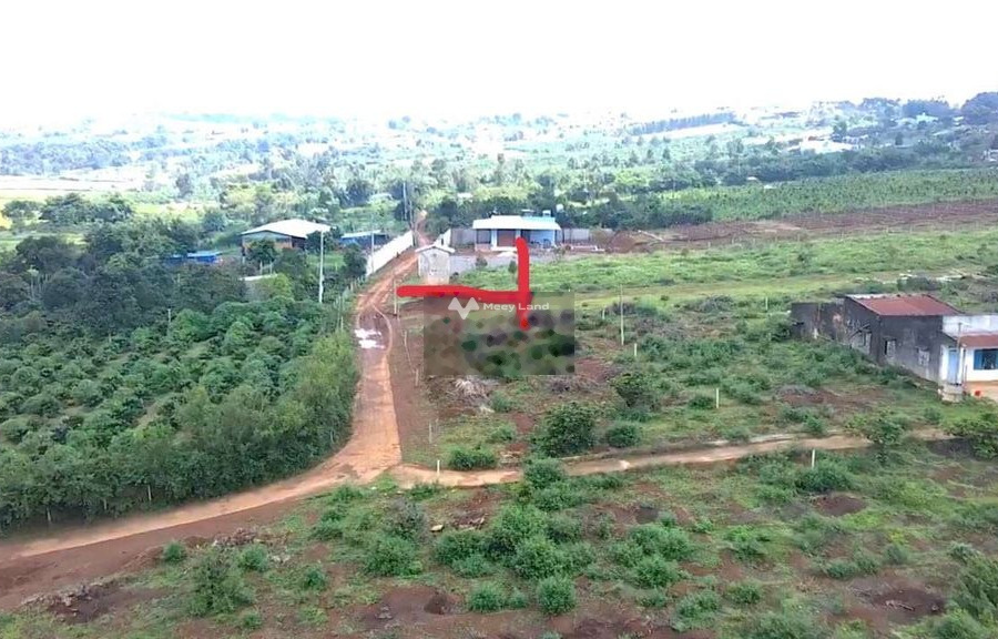 Chính chủ bán mảnh đất, 526m2 giá bán bất ngờ 1.35 tỷ vị trí đẹp tại Pleiku, Gia Lai tin chính chủ-01