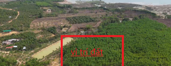 Khoảng từ 1.4 tỷ bán đất có diện tích chung là 5449m2 vị trí đặt ở Thanh Sơn, Đồng Nai-03
