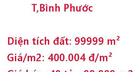 Diện tích thực là 99999m2 bán đất giá bán quy định 40 tỷ-02