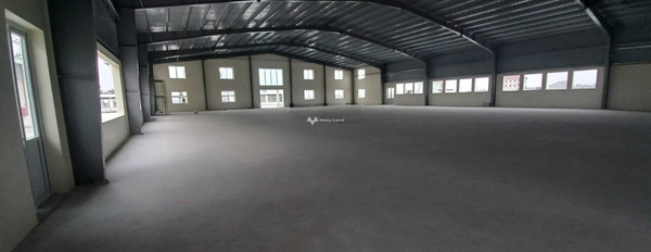 Nợ nần chồng chất cho thuê kho bãi diện tích tầm trung 500m2 tọa lạc ngay trên Duyên Thái, Thường Tín giao thông đông đúc-03