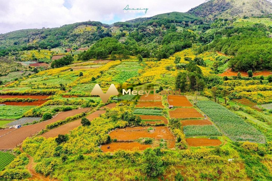 Vị trí đẹp tọa lạc gần Xã Lộc Nga, Tỉnh Lâm Đồng bán đất, giá ưu đãi từ 980 triệu diện tích là 140 m2-01