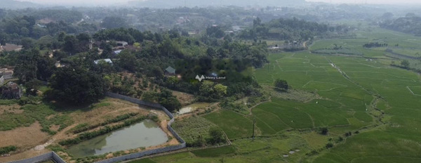 Khuôn viên 6809m2 đất thổ cư tại Gò Bài, Hòa Sơn, Lương Sơn, tỉnh Hòa Bình lh để xem ngay-03