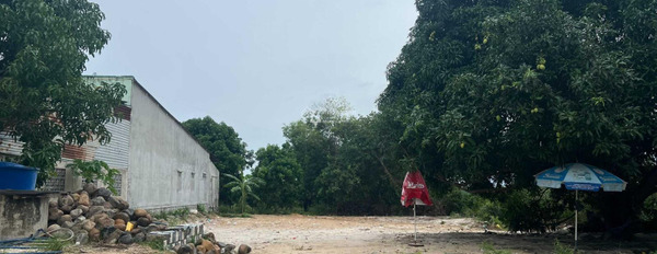 Bán mảnh đất 403m2 tại Cam Lâm, Khánh Hòa-03
