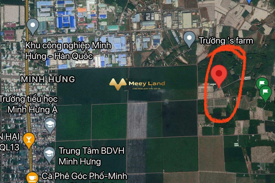 Bán nhanh 1000m2 ven khu công nghiệp tại Chơn Thành, Bình Phước-01