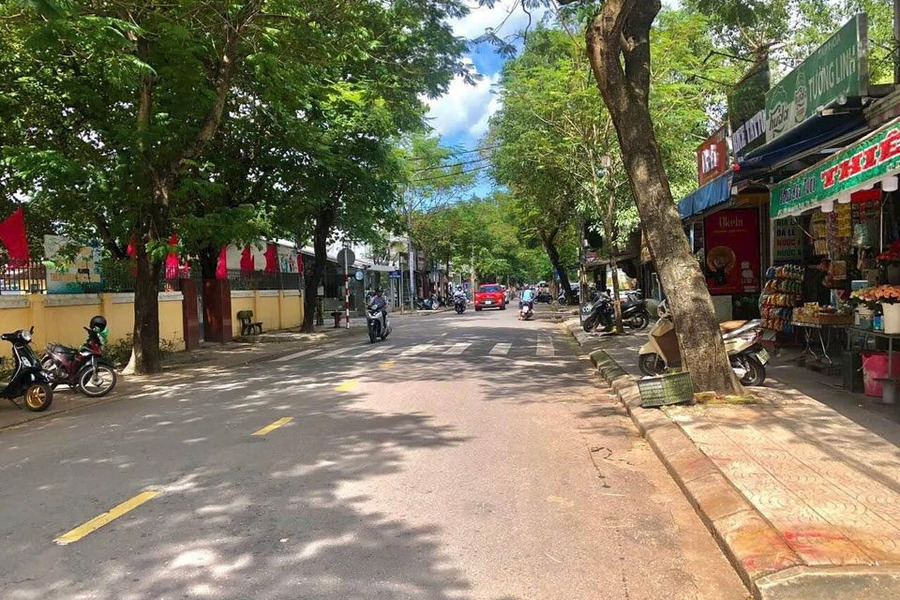 Cần bán nhà Huế tỉnh Thừa Thiên Huế, giá 8 tỷ-01