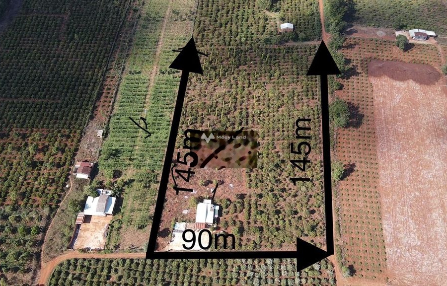 Ia Băng, Gia Lai bán đất giá bán chính chủ 1.7 tỷ diện tích tổng là 13000m2-01