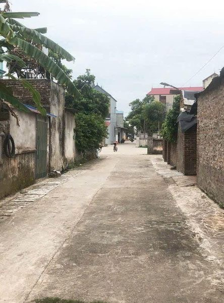 Mua bán đất huyện Sóc Sơn diện tích 50m2-01
