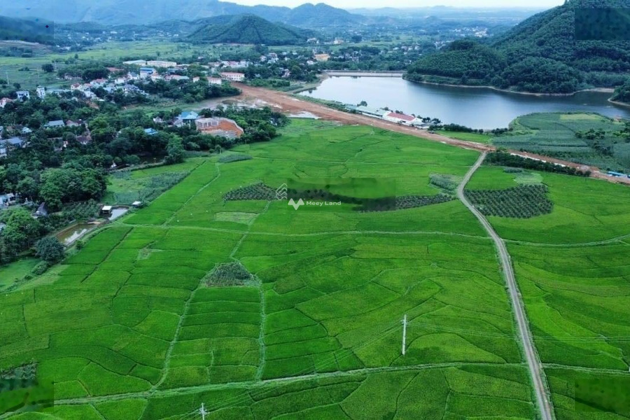 Chính chủ cần bán 3900m2 đất nghỉ dưỡng tại Yên Bình, Thạch Thất giá chỉ 2. X tr/m2 pháp lý rõ ràng-01