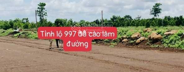 Gấp bán mảnh đất, 1999m2 giá khởi điểm chỉ 10 tỷ trong Phước Long Thọ, Đất Đỏ giá hợp lý-02