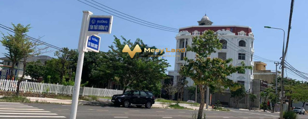Bán đất vị trí đẹp ngay tại phố Lê Trọng Tấn, quận Cẩm Lệ, Đà Nẵng-03