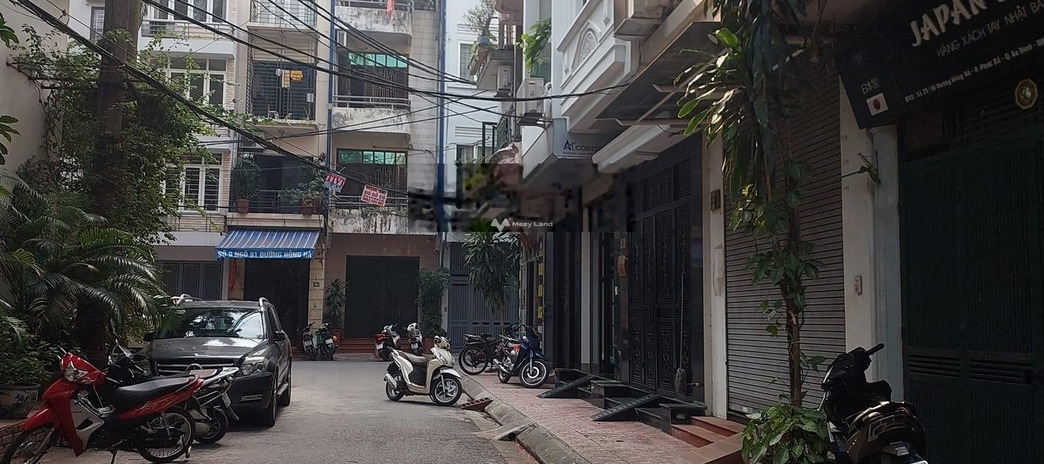 DT 40m2 bán nhà ở vị trí đặt ngay Ba Đình, Hà Nội trong nhà 4 PN 3 WC liên hệ chính chủ