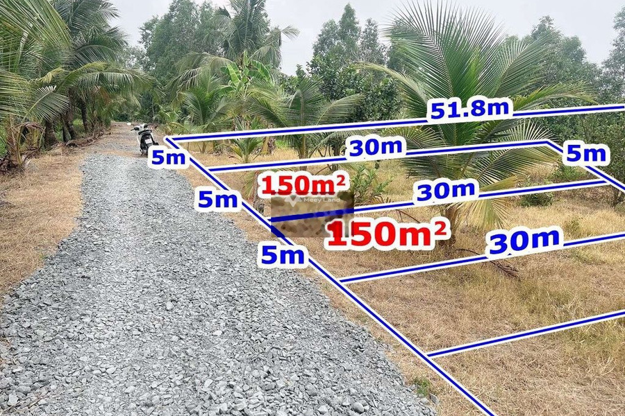 Lạc Tấn, Tân Trụ 399 triệu bán đất, hướng Tây Nam diện tích dài 150m2-01