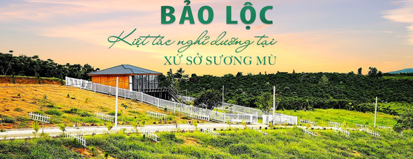 Chính chủ cần tiền bán gấp đất biệt thự vườn Lộc Ngãi, huyện Bảo Lâm, giá chỉ từ 750 triệu/lô-02