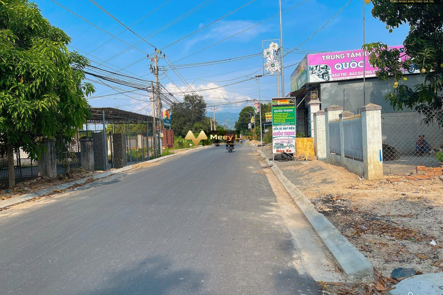 Vị trí thuận lợi tọa lạc ngay ở Lê Lai, Khánh Hòa bán đất dt chung quy 240 m2-01
