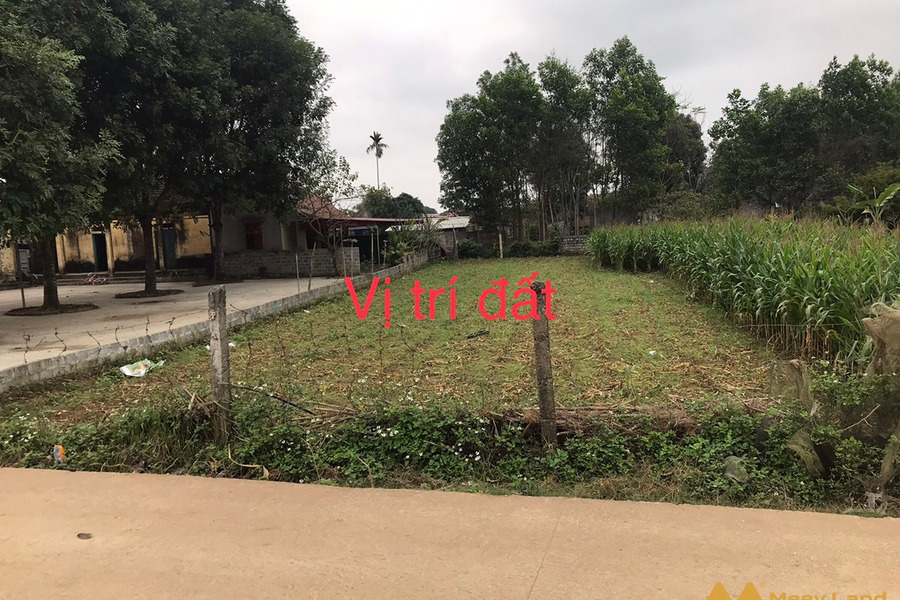 Bán lô đất 290m2 xã Phú Long, Nho Quan, Ninh Bình gần khu du lịch Hồ Đá Lải, sổ đỏ chính chủ-01