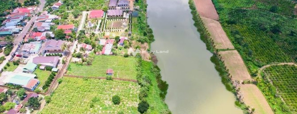 Ninh Gia, Lâm Đồng bán đất giá bán êm chỉ 12 tỷ diện tích tổng 11000m2-02