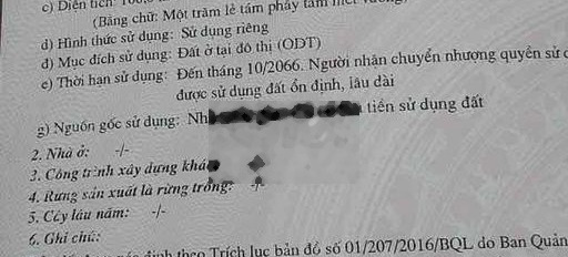 lô đất đường 5,5m giá rẻ nhất khu An Phu Quý -03