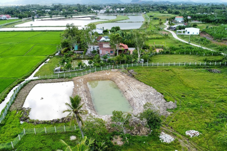 Khoảng từ 4.5 tỷ bán đất có diện tích thực là 3600m2 vị trí đẹp ngay trên Hòa Khương, Hòa Vang-01