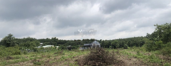 Tân Phú, Bình Phước 5.1 tỷ bán đất có diện tích quy ước 5282m2-03