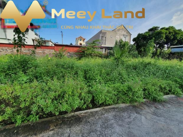 Vị trí thuận lợi tọa lạc ngay Phường Hải Thành, Quận Dương Kinh bán đất giá bán hiện tại 620 triệu có dt rộng 47 m2, lộ đi ngang 3 mét-01