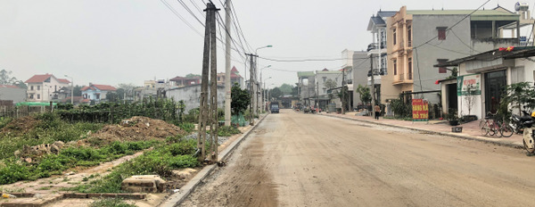 Bán 100m2 đất kinh doanh đấu giá Cam Lâm, Minh Quang, Tam Đảo, Vĩnh Phúc-03