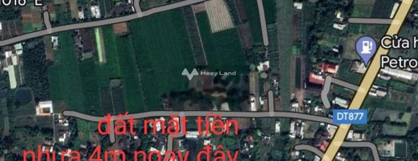 Vị trí mặt tiền tọa lạc gần Gò Công, Tiền Giang bán đất, giá bán rẻ chỉ 450 triệu, hướng Nam diện tích mặt tiền 107m2-03