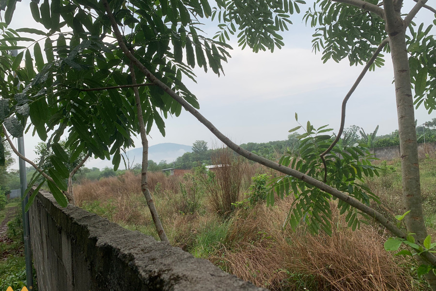 Bán gấp 7 sào đất đẹp và giá ngộp tại ấp ruộng tre xã Bảo Quang, Long Khánh, Đồng Nai-01