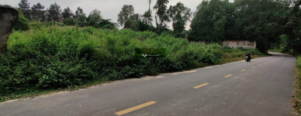Tam Phước, Biên Hòa 26 tỷ bán đất diện tích trong khoảng 12000m2-03