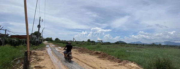 7 tỷ bán đất có diện tích tiêu chuẩn 10000m2 vị trí thuận lợi nằm tại La Gi, Bình Thuận, hướng Đông Nam-03