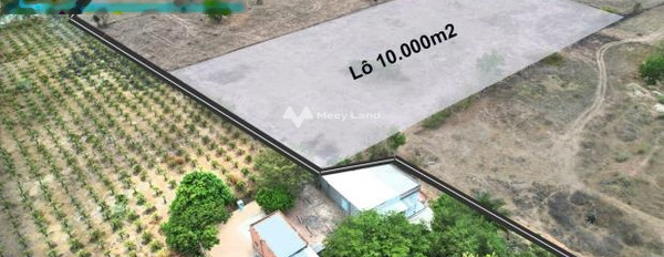 950 triệu bán đất diện tích thực như trên hình 10000m2 mặt tiền nằm ở Phan Thanh, Bình Thuận-02