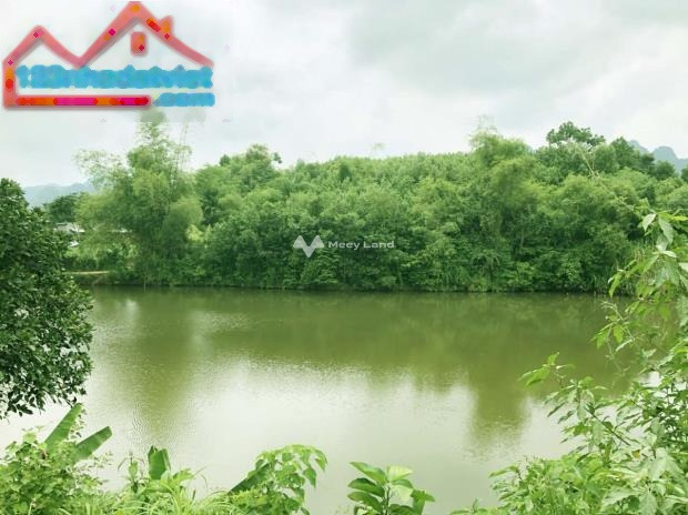 Khoảng từ 1.86 tỷ bán đất có một diện tích 1550m2 vị trí tốt tại Thanh Sơn, Lương Sơn-01