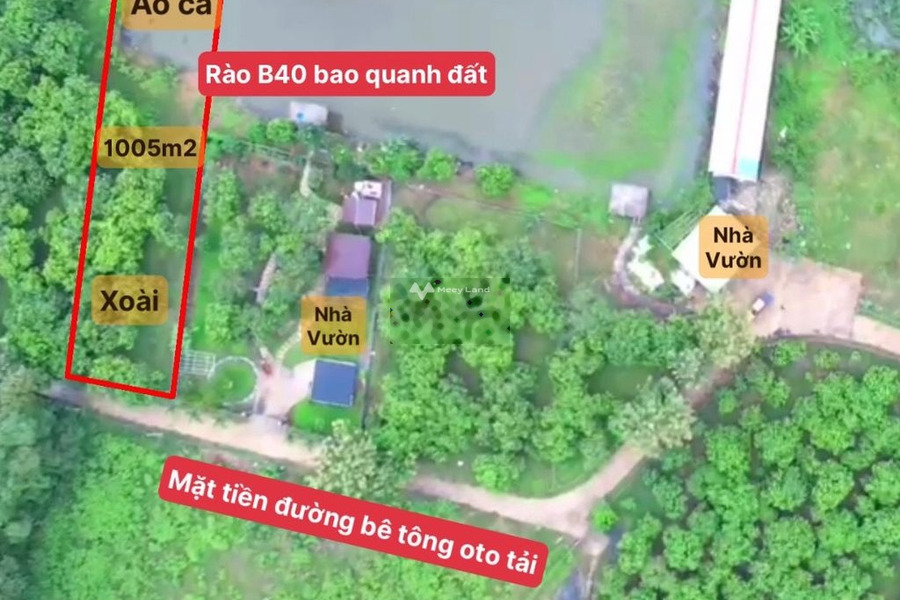 Từ 990 triệu bán đất diện tích thực như trên hình 1005m2 vị trí đặt nằm ngay Định Quán, Đồng Nai-01