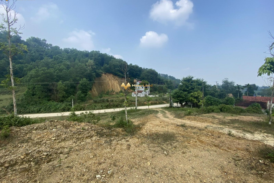 Bán đất diện tích cụ thể 6238m2 ngay ở xã Yên Bài, Hà Nội-01