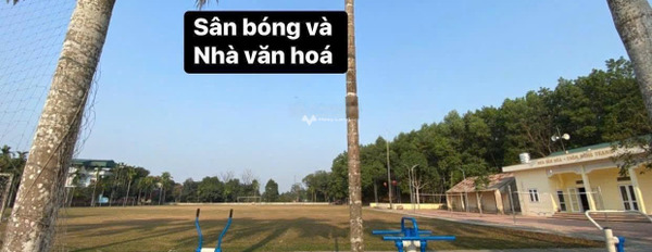 Bán đất giá 950 triệu, diện tích 64,9m2 tại Đường 21, Sơn Tây-02