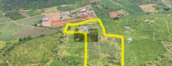 Đại Lào, Lâm Đồng 4.2 tỷ bán đất diện tích tổng là 2000m2-02