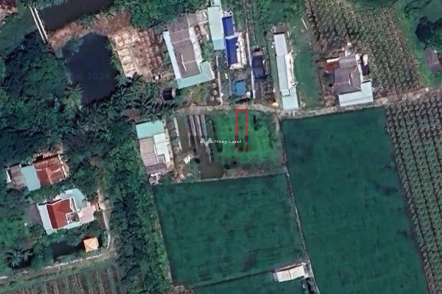 Nguyễn Thành, Tân Trụ bán đất giá bán tốt nhất 700 triệu, hướng Tây Bắc có diện tích 142m2-01