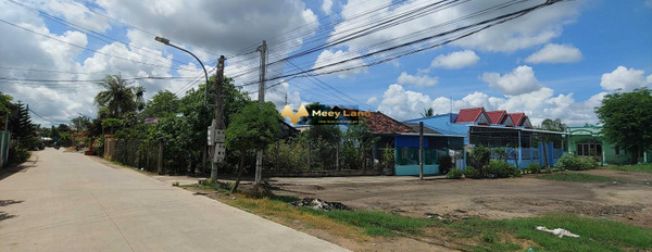 Nguyễn Thị Bài, Cần Giuộc bán đất giá bán cực tốt từ 1.65 tỷ có diện tích là 150m2-03