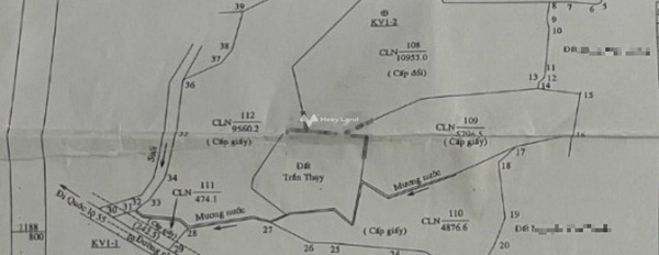 5.3 tỷ bán đất diện tích rộng là 33000m2 mặt tiền tọa lạc ở Tân Xuân, Hàm Tân, hướng Đông Bắc-03