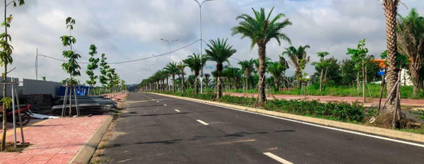 Ở Mega City 2 1.6 tỷ bán đất tổng diện tích là 105m2 ở Phú Hội, Nhơn Trạch, hướng Bắc-02