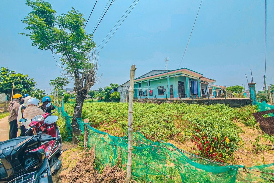 Ảnh hưởng dịch bán đất Nguyễn Văn Trỗi, Điện Bàn giá bán thỏa thuận chỉ 530 triệu với diện tích thực 95m2-01