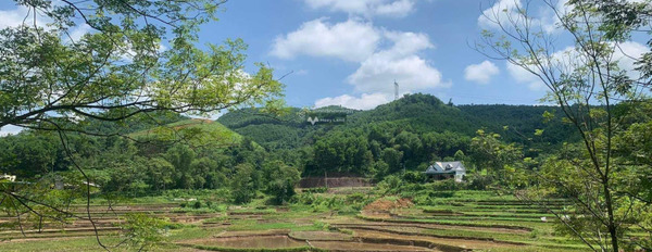Tân Lạc, Hòa Bình bán đất giá bán khoảng từ 750 triệu diện tích tầm trung 1516.6m2-03