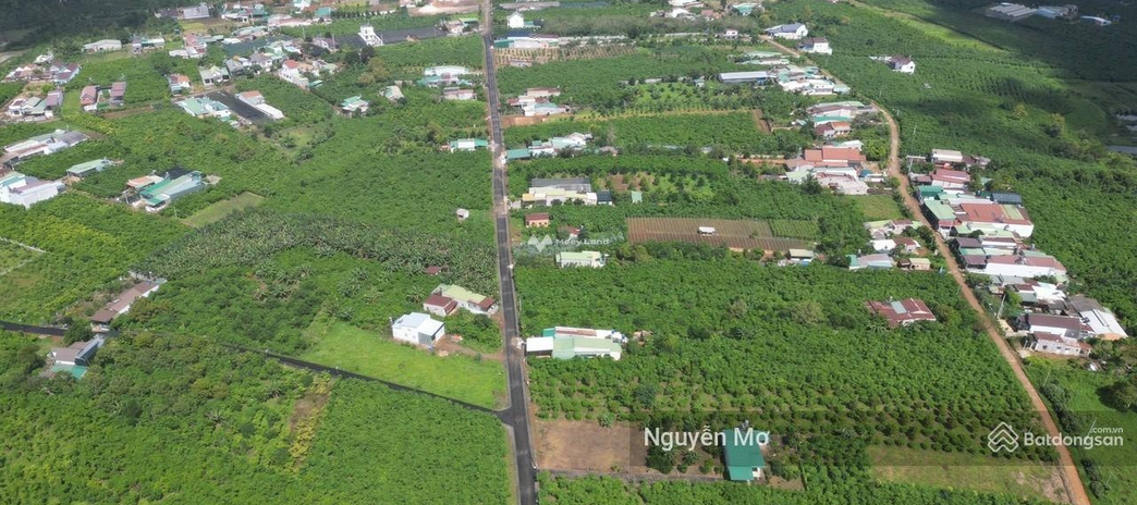 Ở Lộc Phát, Lâm Đồng bán đất 2.8 tỷ có diện tích thực 385m2
