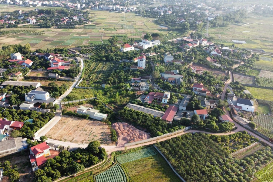 Bán đất giá 360 triệu tại Lục Nam, Bắc Giang-01