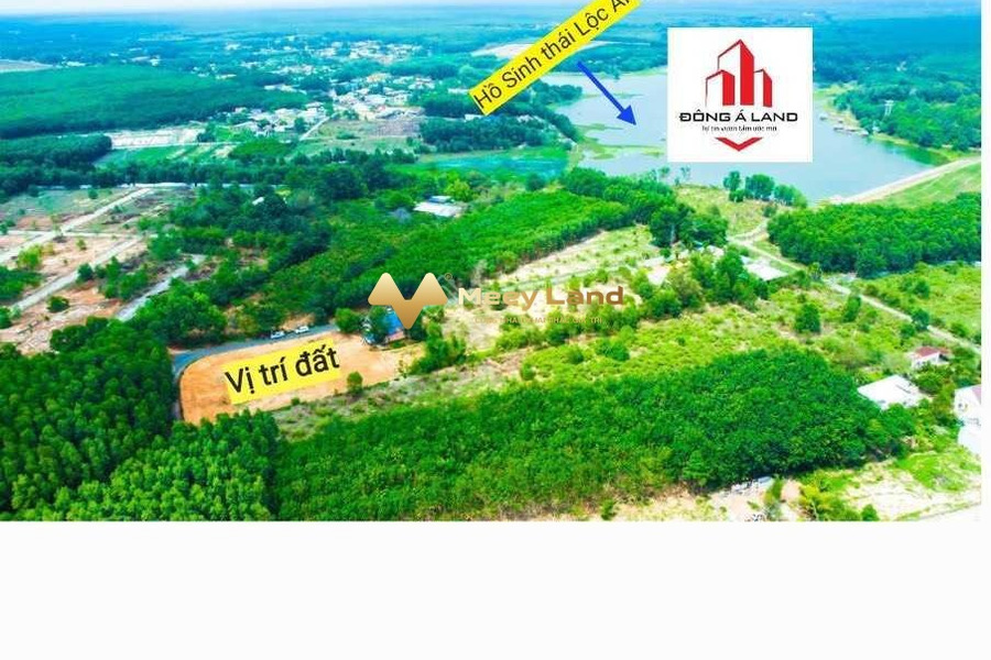 Bán đất tại Lộc An, Long Thành, giá 2,14 tỷ, diện tích 134m2-01