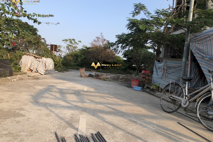 Bán lô đất 99m2 cách trục chính khoảng 80m tại Trang Quan, An Đồng, An Dương-01