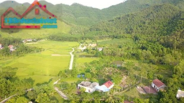 15.5 tỷ bán đất có diện tích thực là 10573m2 trong Phúc Yên, Vĩnh Phúc-01